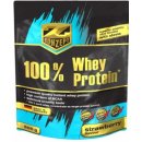 Protein Z-Konzept 100 Whey Protein 500 g