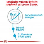 Royal Canin Giant Junior Active 15 kg – Hledejceny.cz