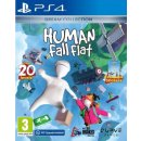 Human: Fall Flat Dream Collection