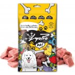 Lyopro DOG poch mrazem sušené Kuřecí játra 50 g – Zbozi.Blesk.cz