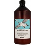 Davines NATURALTECH Well-Being hydratační kondicionér 1000 ml – Zboží Dáma