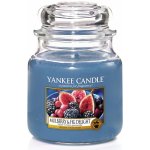 Yankee Candle Mulberry & Fig Delight 411 g – Zbozi.Blesk.cz