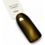 NL nails professional PIGMENT CAT EYES 5 – Hledejceny.cz