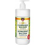 Palacio Konopný balzám s pumpičkou 500 ml – Zbozi.Blesk.cz