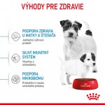 Royal Canin Starter Mother&Babydog Mini 1 kg – Zboží Mobilmania