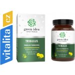 Green idea Tribulus bylinný extrakt 60 kapslí – Hledejceny.cz