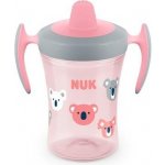Nuk hrníček na učení Evolution Trainer Cup růžová 230 ml – Sleviste.cz