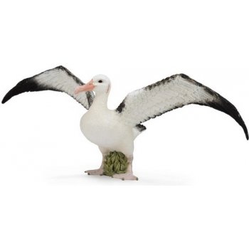 MAC TOYS Albatros stěhovavý