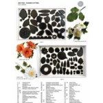 Velká sada vykrajovátek - KVĚTY A LISTY (JEM) – Hledejceny.cz