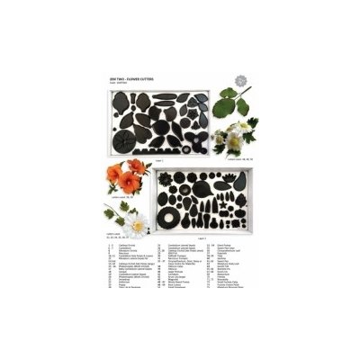 Velká sada vykrajovátek - KVĚTY A LISTY (JEM) – Hledejceny.cz