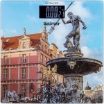 Zelmer ZBS1011 – Zboží Dáma