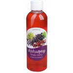 ShishaSyrup Melasa Hrozen a mix bobulí 100 ml – Zboží Dáma