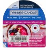 Vonný vosk Yankee Candle vonný vosk Exotic Acai Bowl 22 g