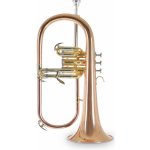 Roy Benson Bb- FH-302G Pro série – Zboží Dáma