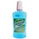 Dentimint ústní voda Mild Mint 500 ml