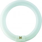 Philips kruhová Master TL-E Circular Super 80 40W/840 T9 G10q neutrální bílá – Zboží Dáma