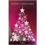 PADU Adventní kalendář Crystal Christmas Tree – Sleviste.cz