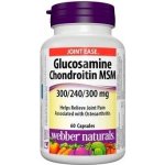 Webber Naturals Glucosamine Chondroitine MSM 300/240/300 mg 60 kapslí – Hledejceny.cz