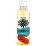 ShishaSyrup Melasa Borůvka 100 ml – Sleviste.cz