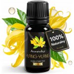 Aromaholik Přírodní esenciální olej Ylang Ylang z Madagaskaru 10 ml – Hledejceny.cz
