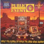 Public Enemy - What You Gonna Do When The Grid Goes Down LP – Zboží Dáma