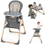 Ingenuity multifunkční 0m+ do 23kg Wesley – Zboží Dáma