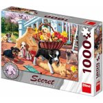 Dino Secret Collection: Štěňata 1000 dílků – Hledejceny.cz