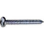 Šroub do plechu půlkulatá hlava 2,9x13 PH, zinek bílý, 20ks – Zboží Mobilmania