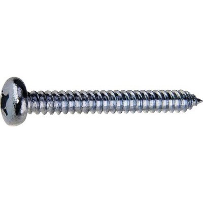 Šroub do plechu půlkulatá hlava 2,9x13 PH, zinek bílý, 20ks – Zboží Mobilmania