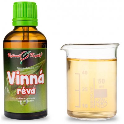 Bylinné kapky Vinná réva tinktura z pupenů gemmoterapie 50 ml – Hledejceny.cz