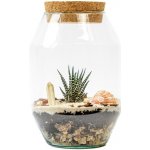 Gardners Skleněná dóza Verbena s korkovým špuntem, 22x14 cm - osázené suchomilné – Hledejceny.cz