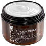 MIZON ALL IN ONE SNAIL REPAIR CREAM 75 ml – Zboží Dáma
