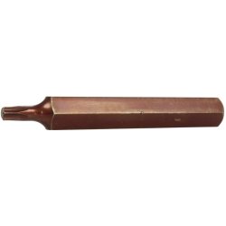 Triumf Torx T55 100-00332