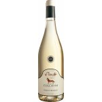Pinot Grigio Villa Canlungo Green Label Venezia Giulia 2023 12,5% 0,75 l (holá láhev) – Hledejceny.cz