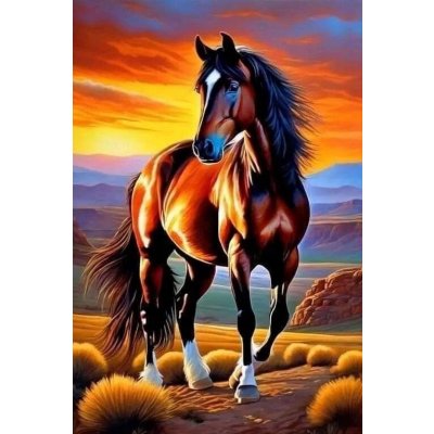 Norimpex diamantové malování Hnědý kůň při západu slunce 30 x 40 cm – Sleviste.cz