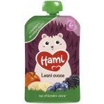 Hami Lesní ovoce kapsička 100g – Zboží Dáma