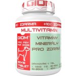 Giom Multivitamin 60 tbl – Hledejceny.cz