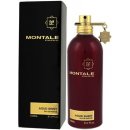 Montale Paris Aoud Shiny parfémovaná voda unisex 100 ml