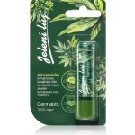 Regina Cannabis pomáda na rty jelení lůj 4,5 g – Hledejceny.cz