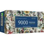 TREFL UFT Staré nebeské mapy souhvězdí 9000 dílků – Zboží Dáma