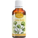Gotukola tinktura z pupenů 50 ml – Hledejceny.cz
