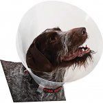 Kruuse Buster Classic Collar Plastový ochranný límec 40 cm – Hledejceny.cz
