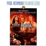 když se čas naplnil DVD – Hledejceny.cz