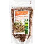 ZdravýDen BIO Směs semen na klíčení 2 brokolice ředkev červená jetel 200 g – Zboží Mobilmania