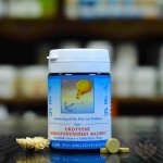 TCM Herbs Ukotvení horkovzdušného balónu 100 tablet – Hledejceny.cz