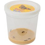 Insect Lore Náhradní sada 5 housenek certifikát – Zboží Mobilmania