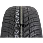 Nexen N'Blue 4Season 225/45 R17 94V – Hledejceny.cz