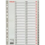 Rozlišovač plastový Esselte A4, 1-54, šedý – Zboží Živě