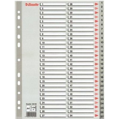 Rozlišovač plastový Esselte A4, 1-54, šedý – Zboží Živě