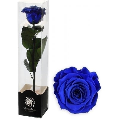Stabilizovaná růže na stonku 60cm modrá – Sleviste.cz